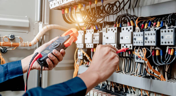 Best Electric Panel Repair  in Roland, IA